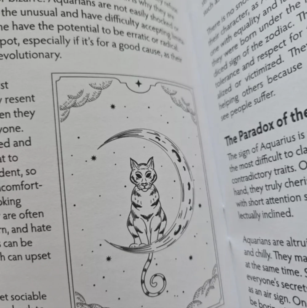 Astrology 2025‎ Aquarius Planners Horoscope Paperback Book Chantale Montepetit